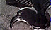 go to enlarged image